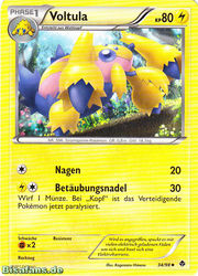 Aufstreben der Mächtigen 34/98 Voltula