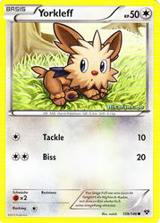 XY-Basisset 108/146 Yorkleff