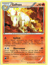 015	Gallopa