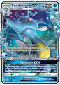 018 Seedraking GX