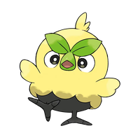 Braubel