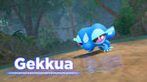 Screenshot von Pokémon Wind und Welle