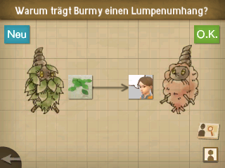 Lösung Lösung