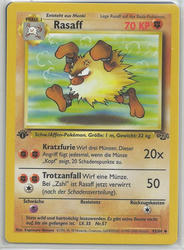 Dschungel 43/64 Rasaff