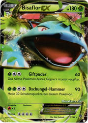 XY-Basisset 1/146 Bisaflor EX