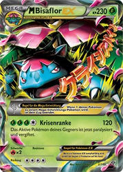 XY-Basisset 2/146 M Bisaflor EX