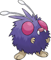 Bluzuk