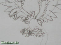 Zeichenkurs Aeropteryx - Schritt 8