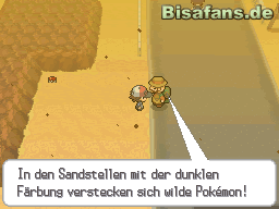 Pokémon erscheinen in der Wüste nur im dunklen Sand