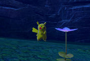 Beispielfoto für Pikachu