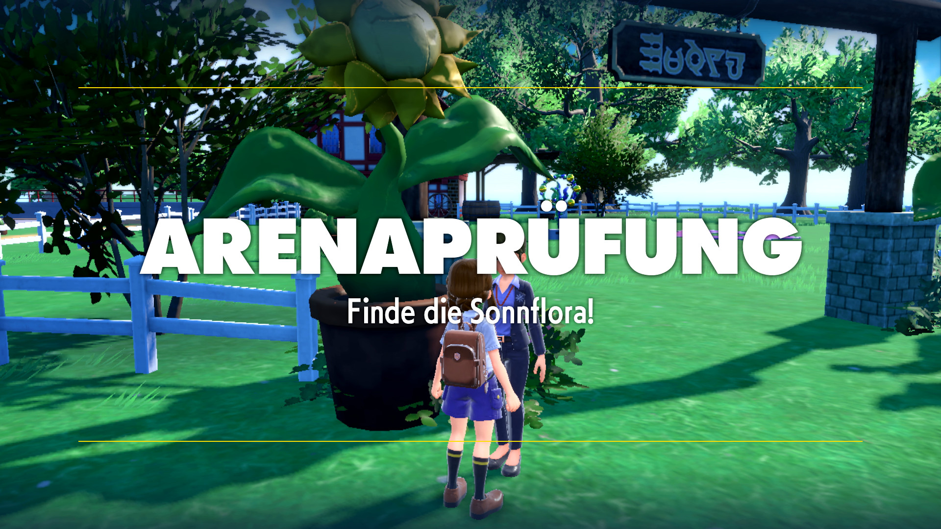 Arenaleiter Colzo Arenaleiter Colzo