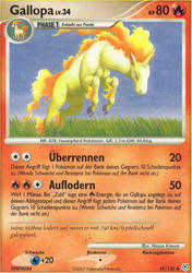 Diamant & Perl 59/130 Gallopa