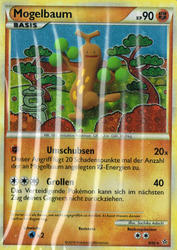 Entfesselt 9/95 Mogelbaum