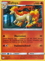 Welten im Wandel 24/236 Gallopa