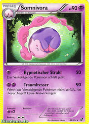 Schwarz & Weiß 049/114 Somnivora