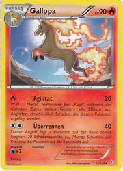 Flammenmeer 15/106 Gallopa