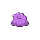 Ditto