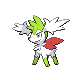 Shaymin Zenitform