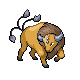 Tauros