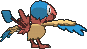 Flapteryx