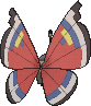 Vivillon Innovationsmuster