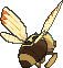 Ninjask