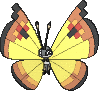 Vivillon Kontinentalmuster