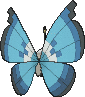 Vivillon Aquamarinmuster