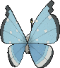 Vivillon Flockenmuster