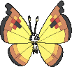 Vivillon Kontinentalmuster