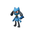 Riolu