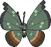 Vivillon Dschungelmuster