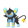 Luxio ♀