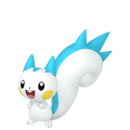 Pachirisu ♀