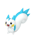 Pachirisu