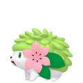 Shaymin Landform