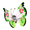 Vivillon Fantasiemuster