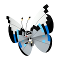 Vivillon Monsunmuster