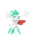 Shaymin Zenitform