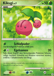 Diamant & Perl 75/130 Kikugi