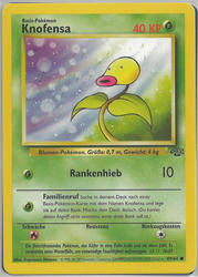 Dschungel 49/64 Knofensa