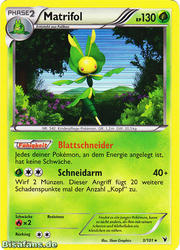 Königlische Siege 3/101 Matrifol