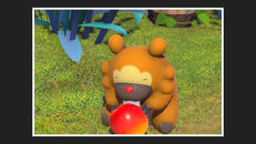 Screenshot von Bidiza (Grovyle)