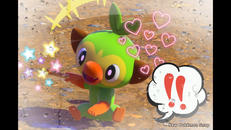 Screenshot von Chimpep (Grovyle)