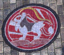 Gullideckel in Pokémon Pokémon-Legenden: Z-A