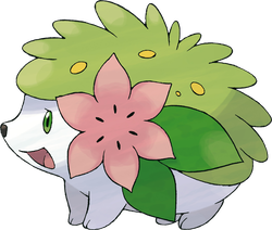  Shaymin in der Landform 