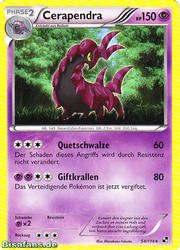 Schwarz & Weiß 054/114 Cerapendra