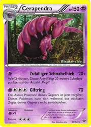 XY-Basisset 53/146 Cerapendra