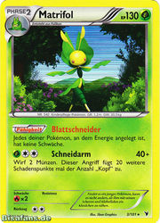 Königlische Siege 3/101 Matrifol