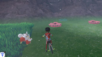 Wipfelscheinwald (9)